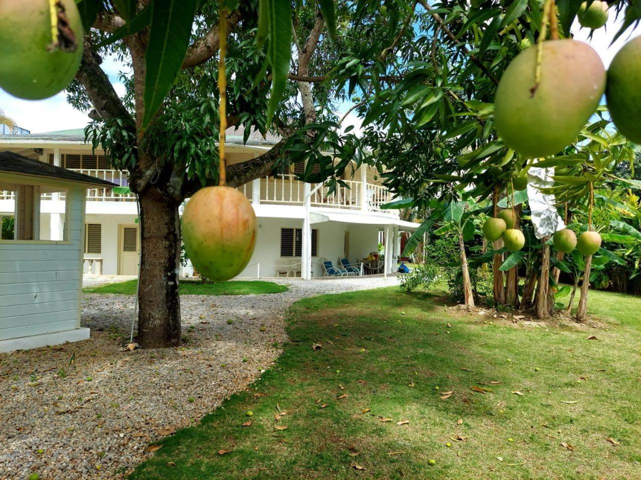Hotel Casa Robinson Las Terrenas Exteriér fotografie