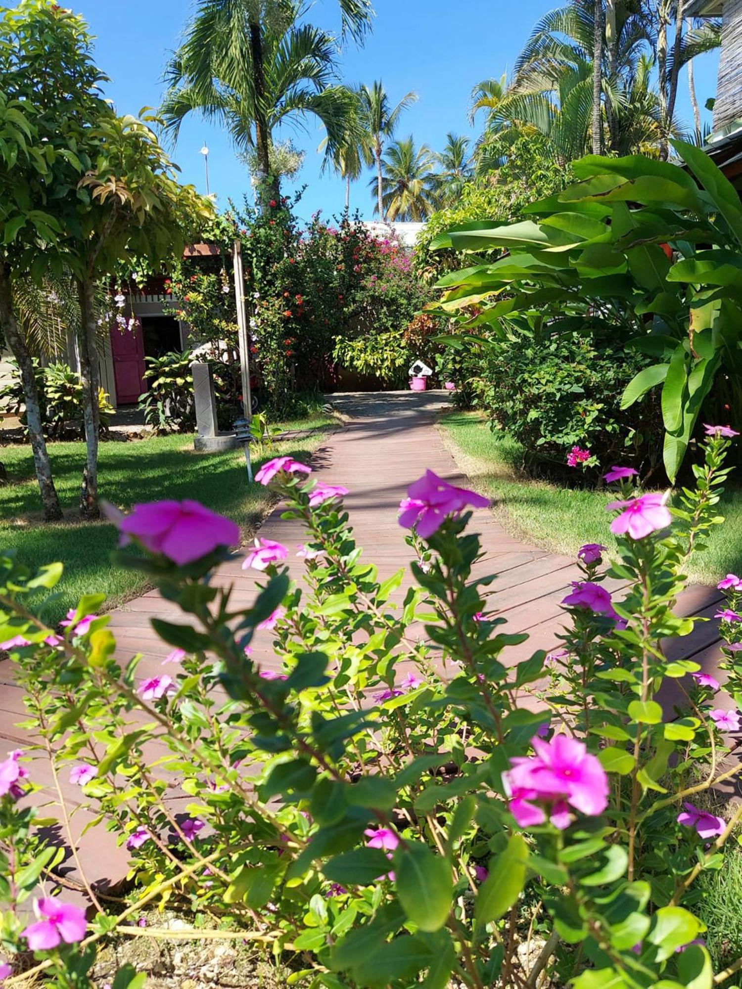 Hotel Casa Robinson Las Terrenas Exteriér fotografie
