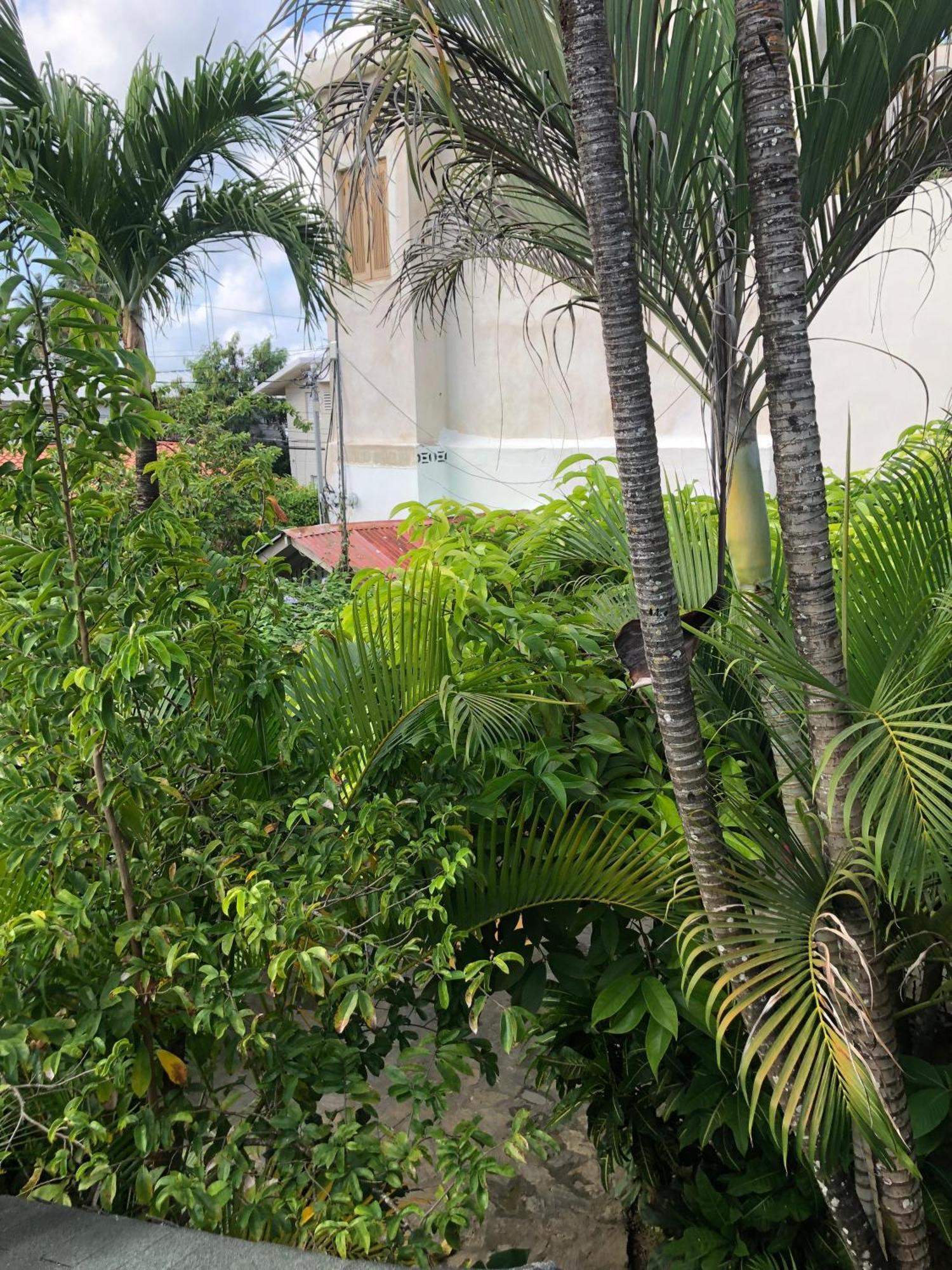 Hotel Casa Robinson Las Terrenas Exteriér fotografie